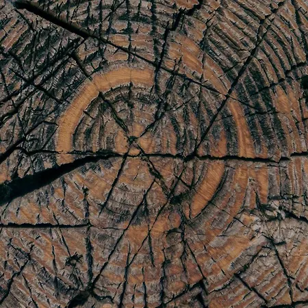 Stangllehen Huette Vakantiehuis