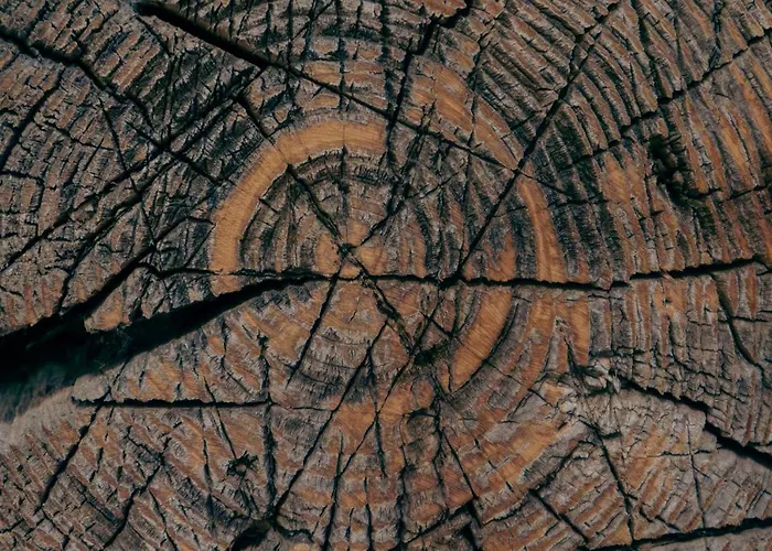 Stangllehen Huette Prázdninový dům